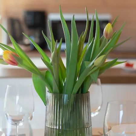 Caloroczne Drewniane W Urokliwej Okolicy By Renters Grzybowo (West Pomeranian)